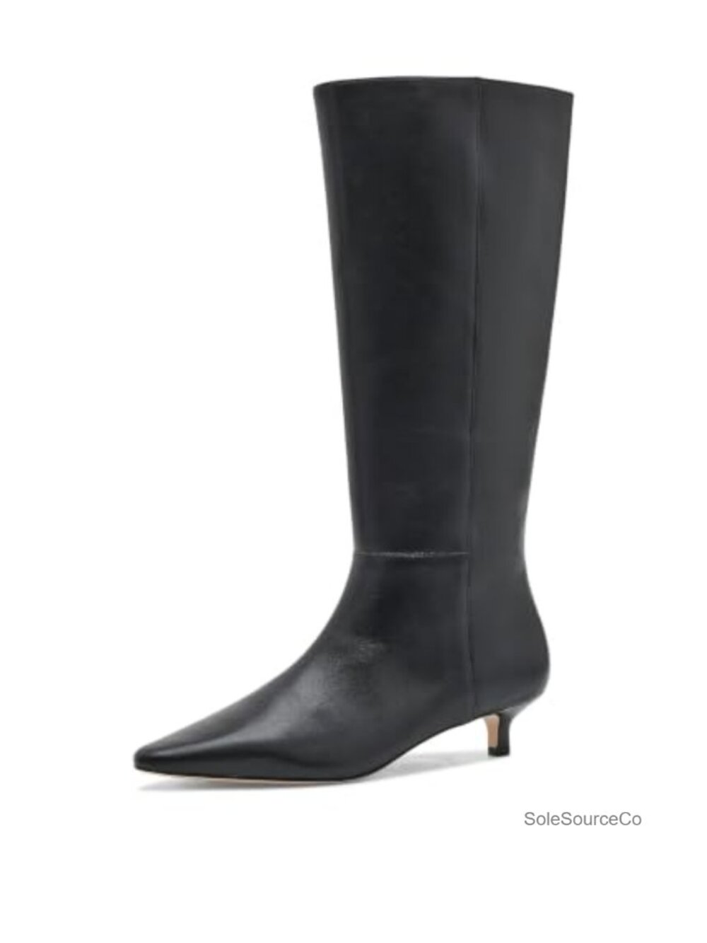 Francesca Calfskin Tall Boot Heels Kitten Heel Pointed Toe Side Zip